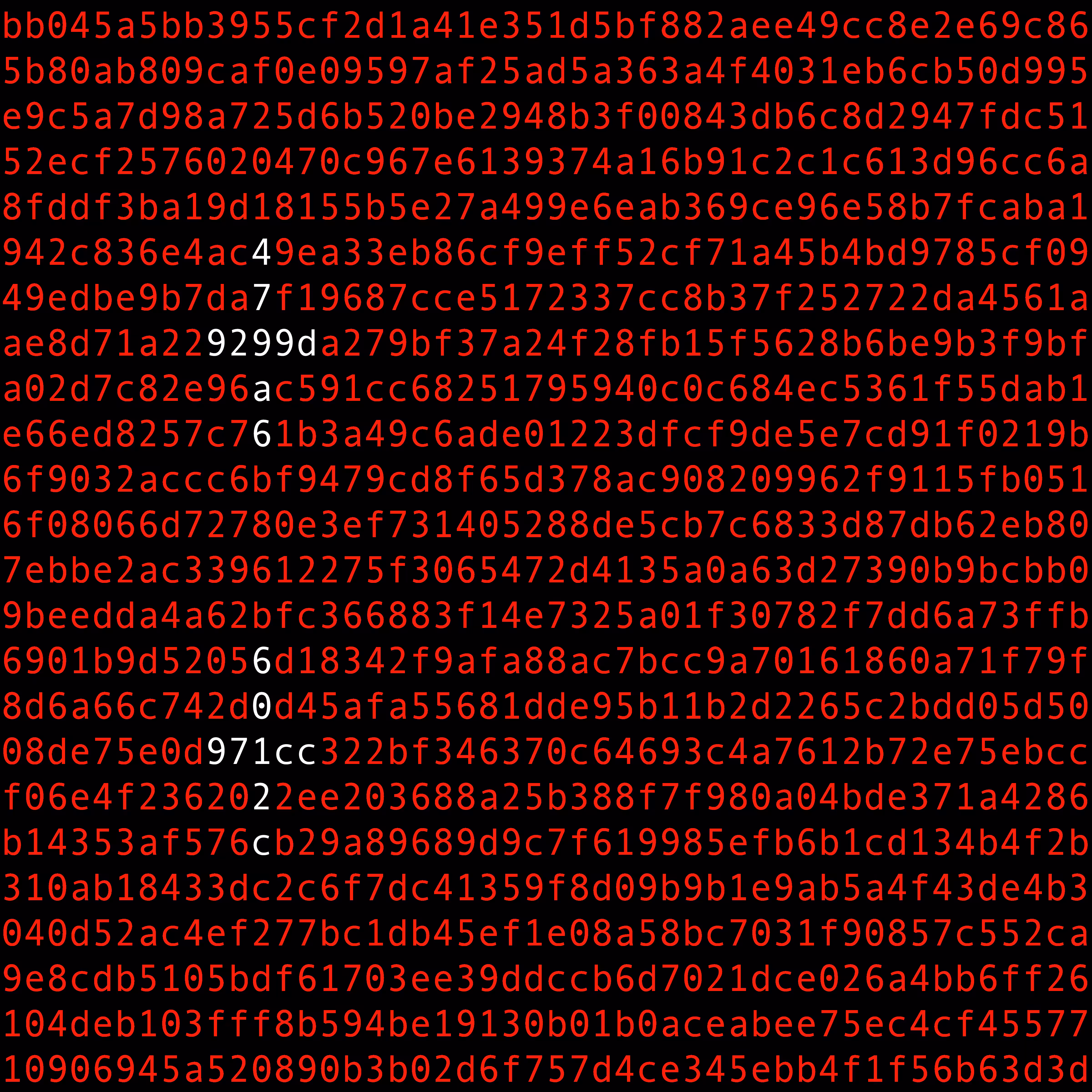 1111 #0905