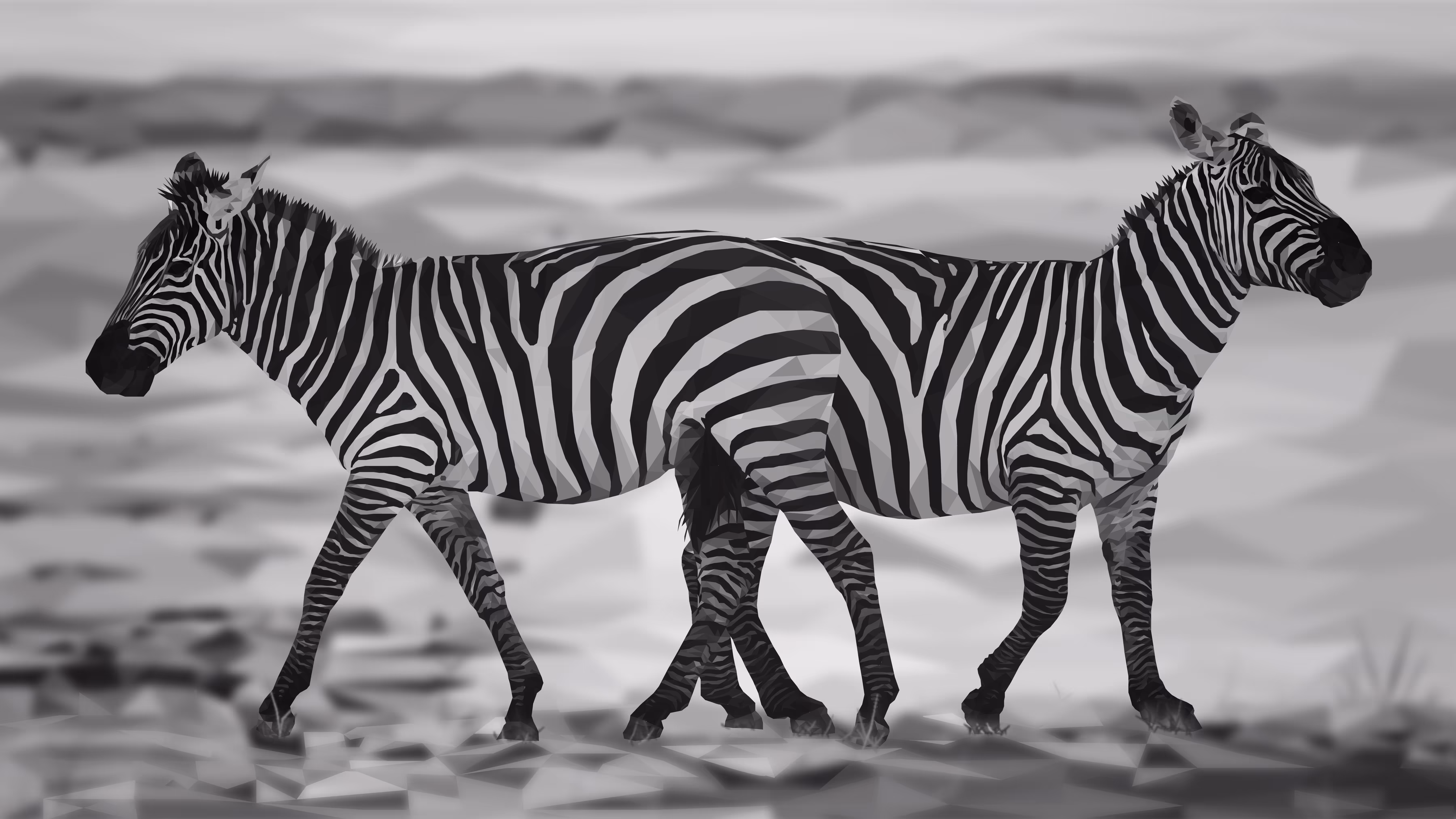 Crossing Paths