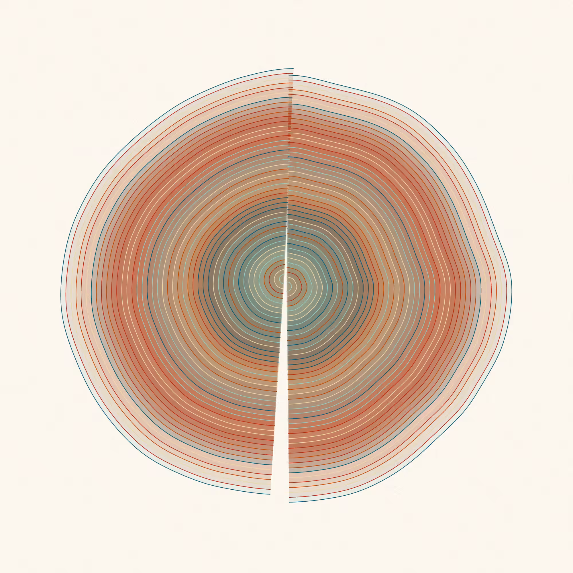 Hashed Onions #10