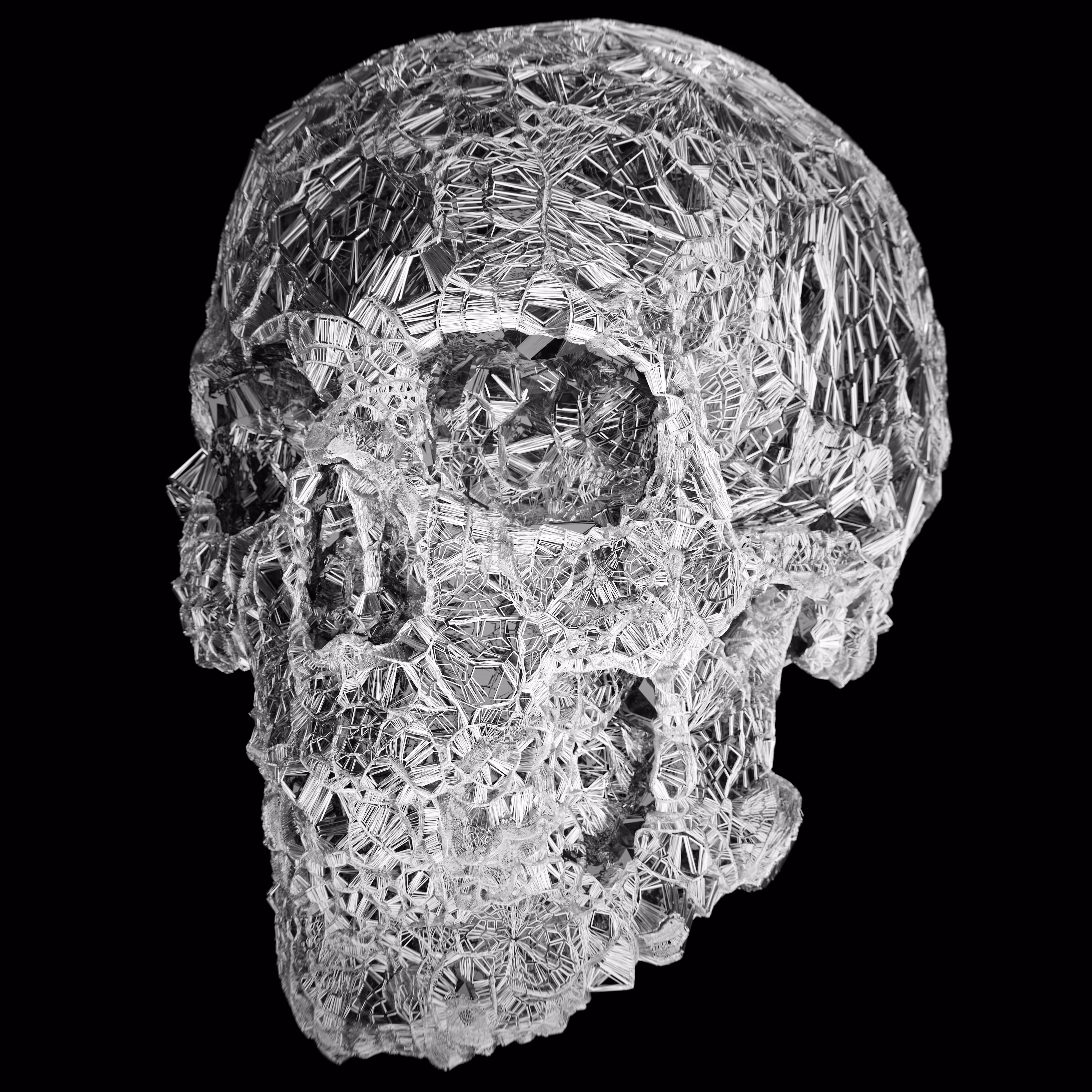 Skull-0x01