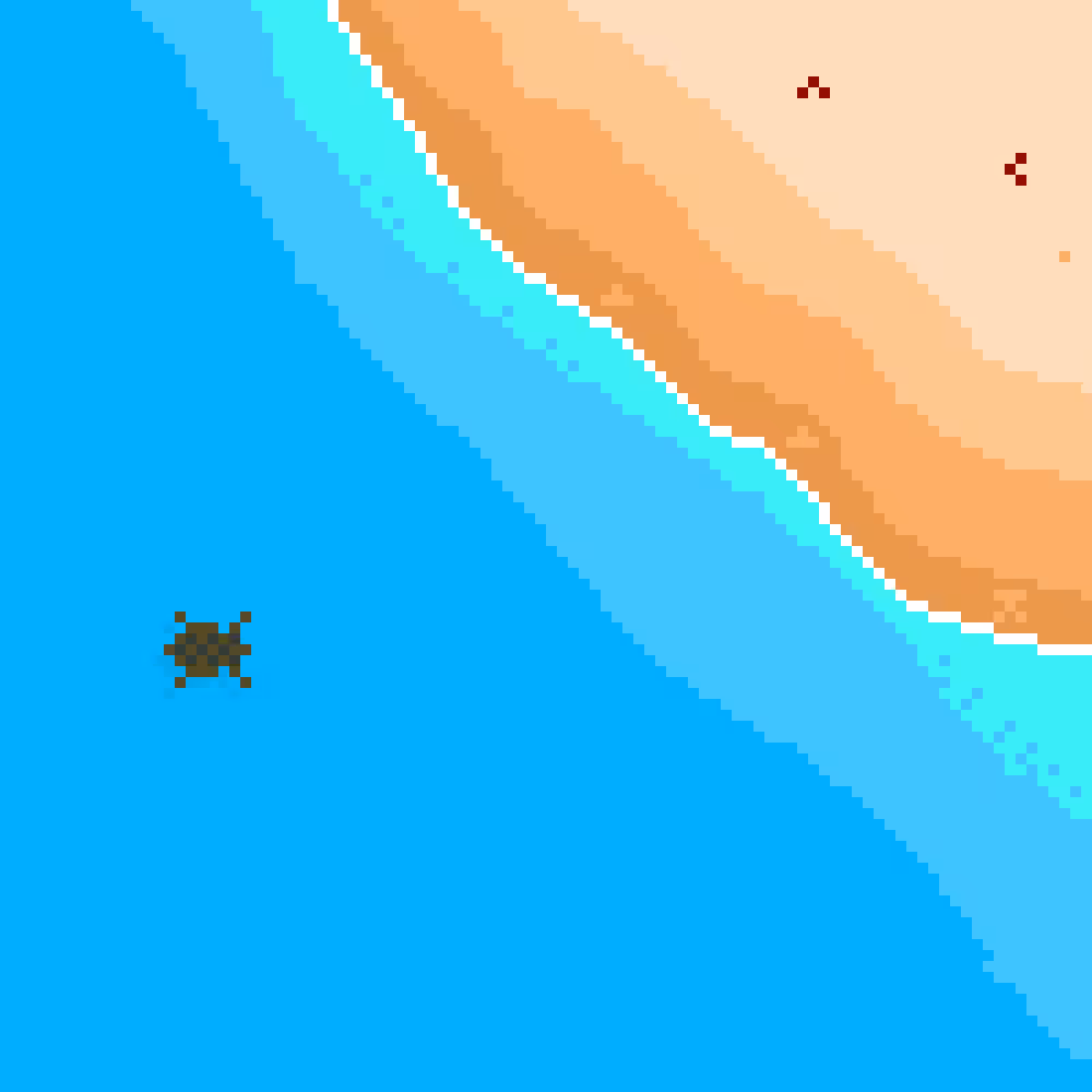 Into The Bay