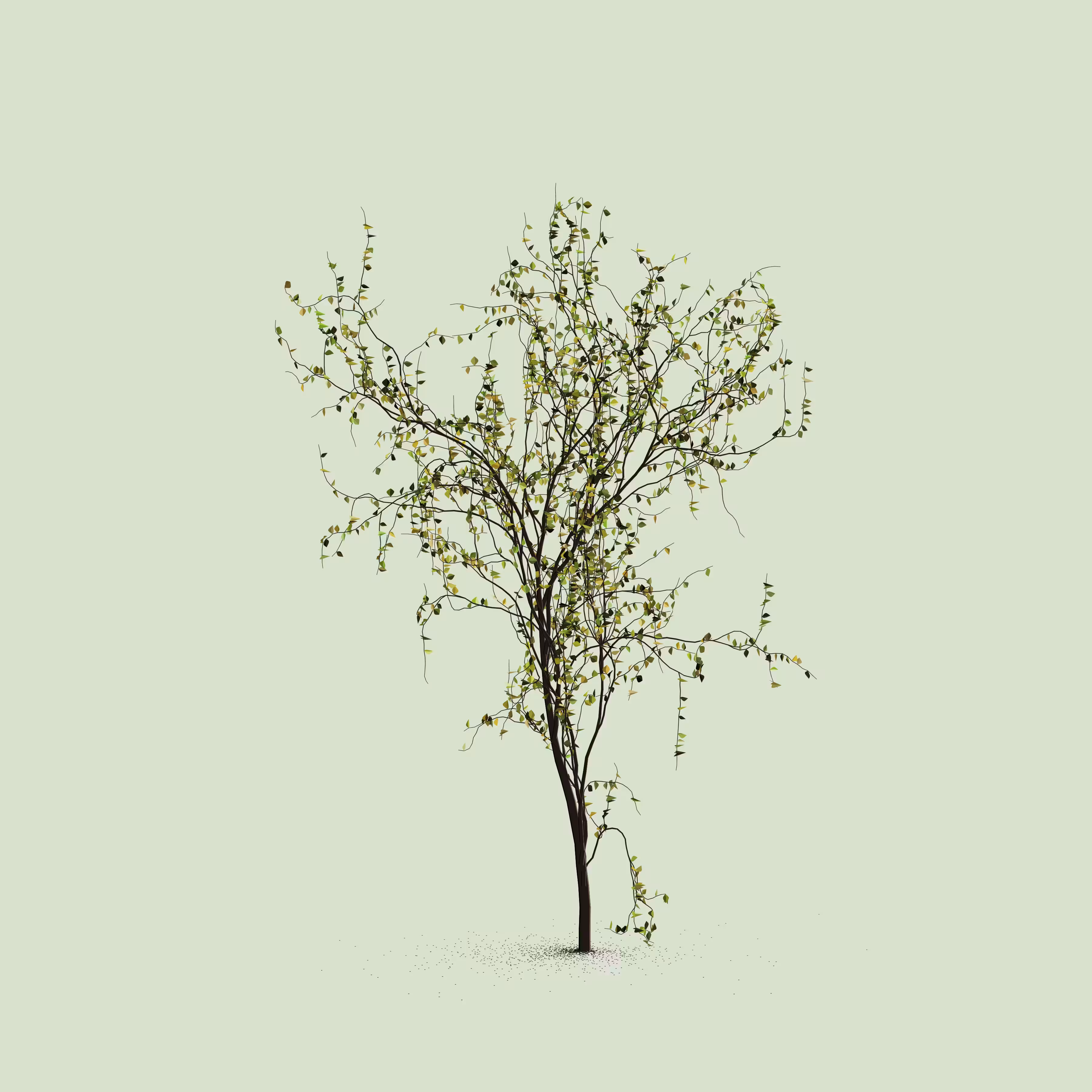 Little Trees #179