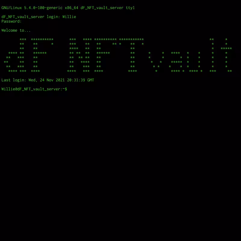 Root Access #13