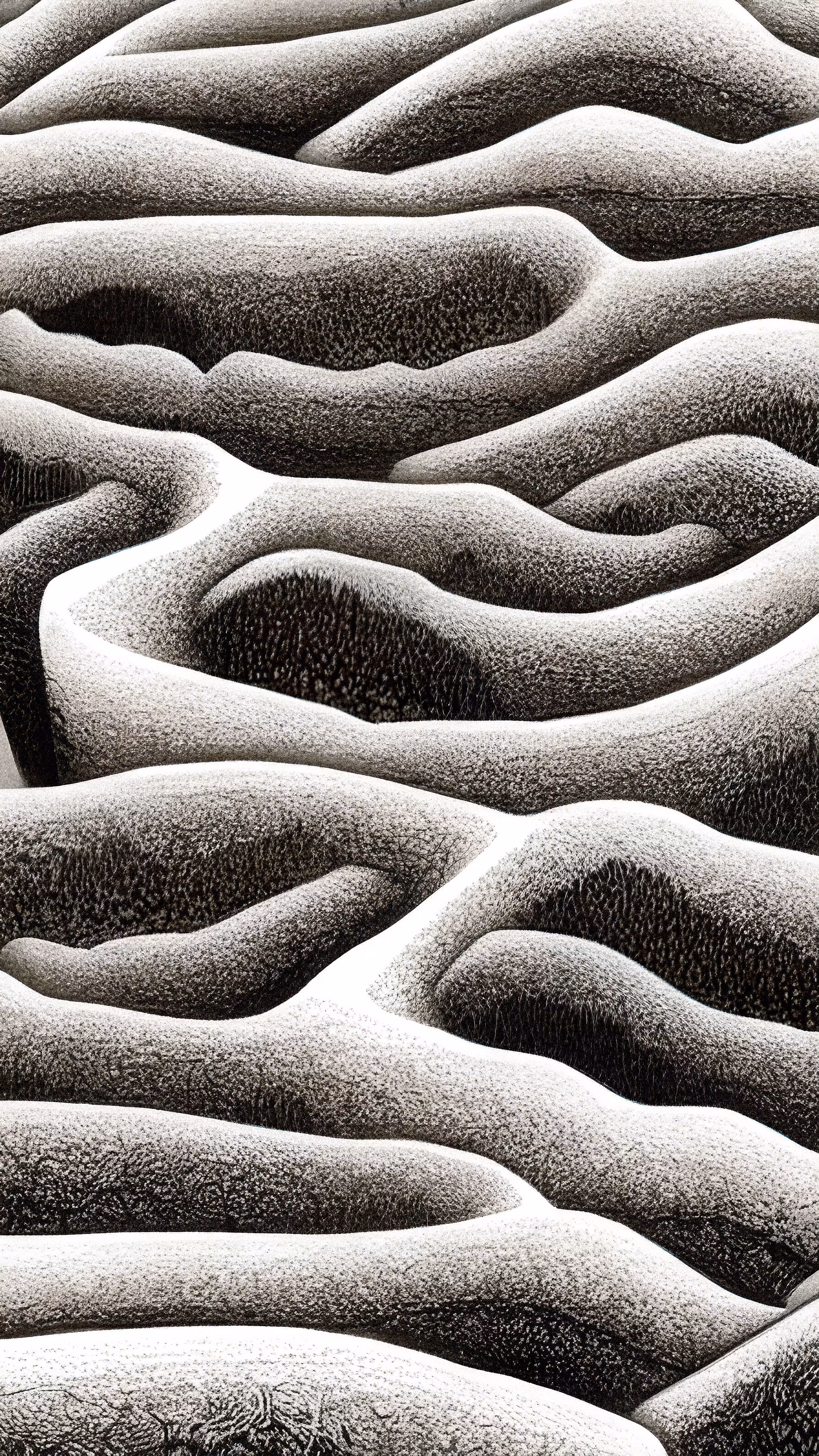 AI Landscape #92