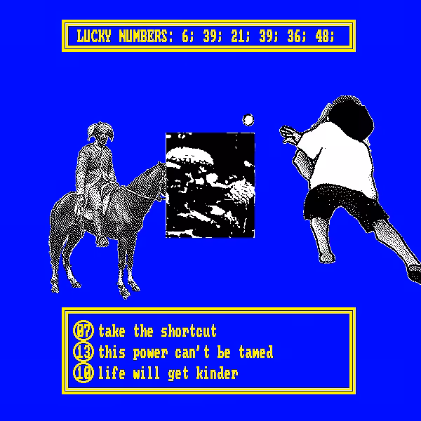 Book Of Fortune #11