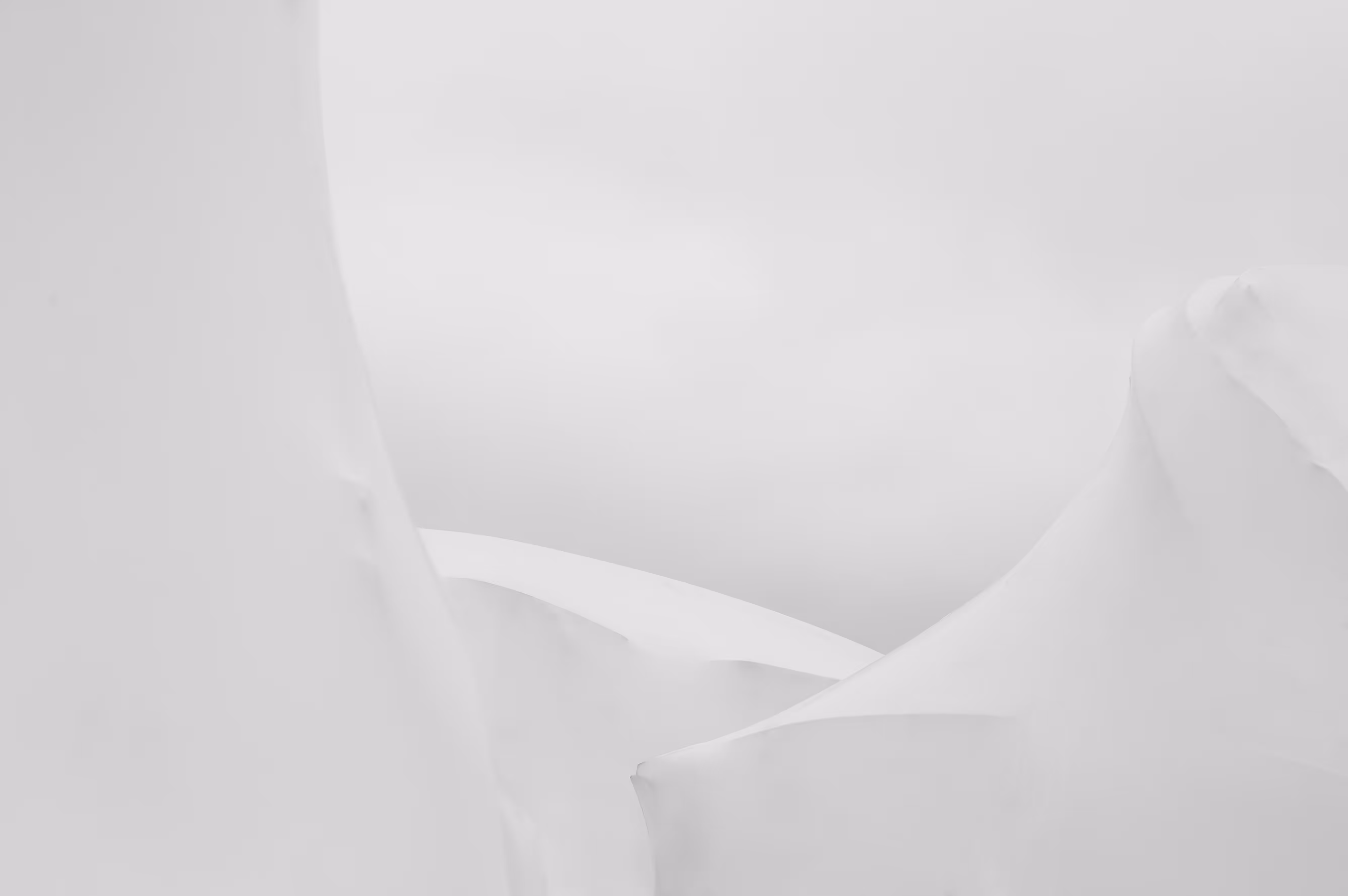 Flotilla V