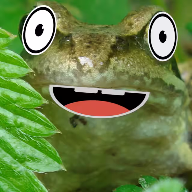 Non Frogable Token