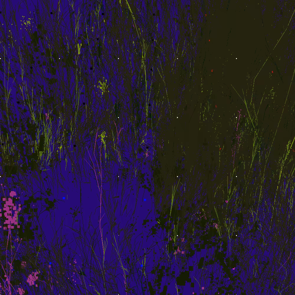 Infinite Garden: 55752 Flowers