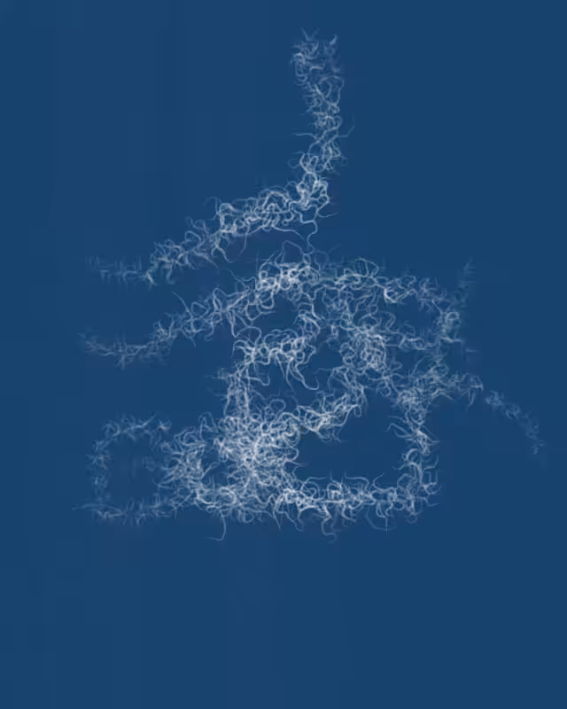 Cyanotypes #245
