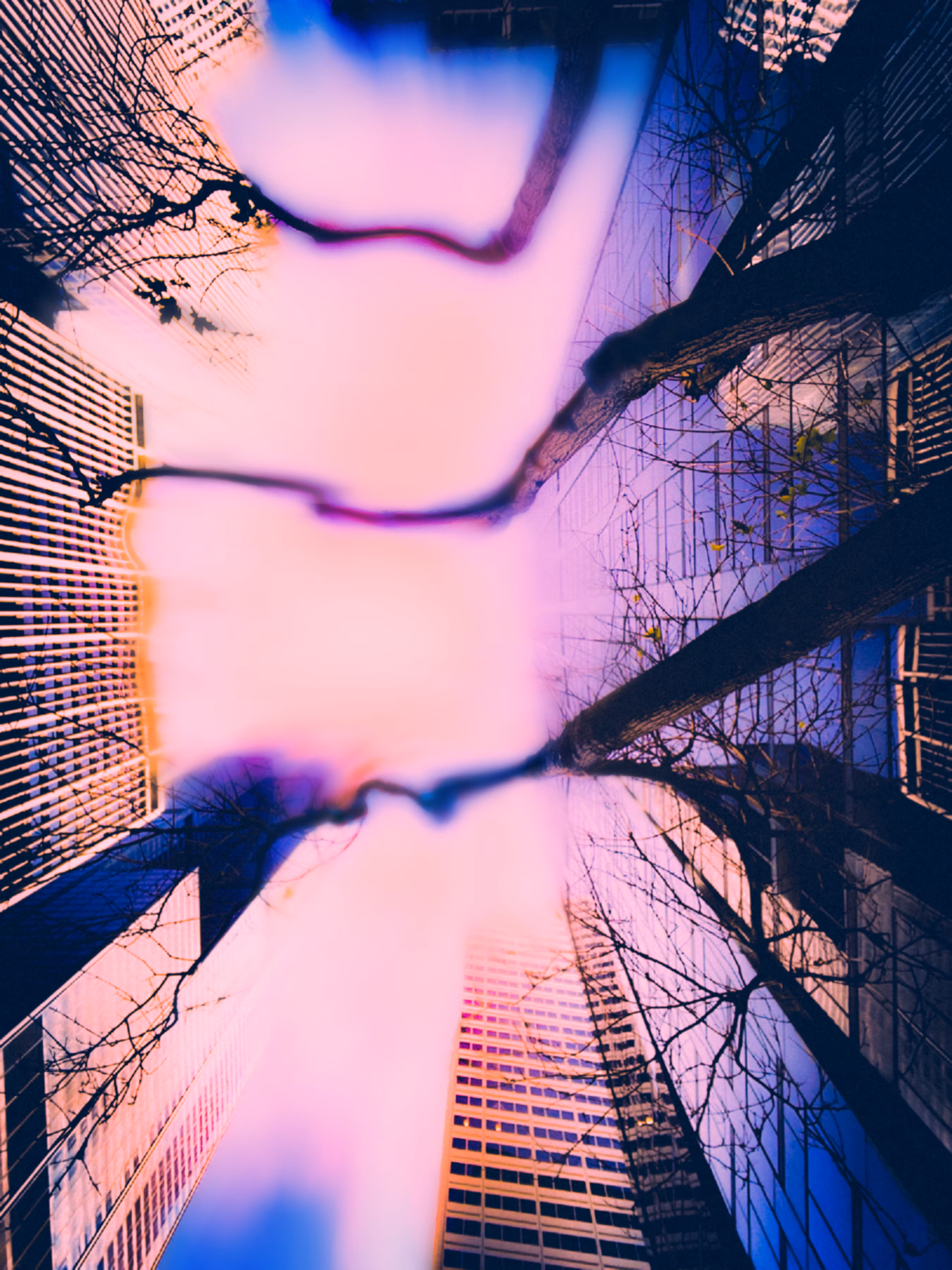Dream in Color