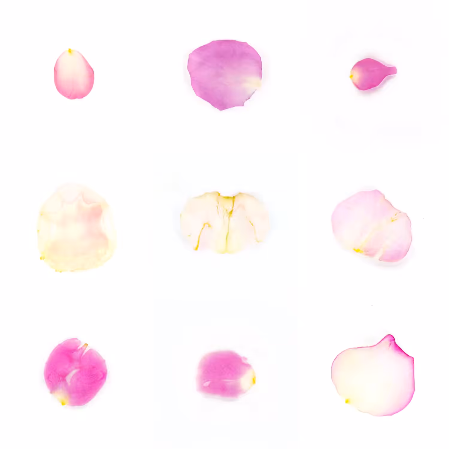 Infinite Petals 3x3#2102