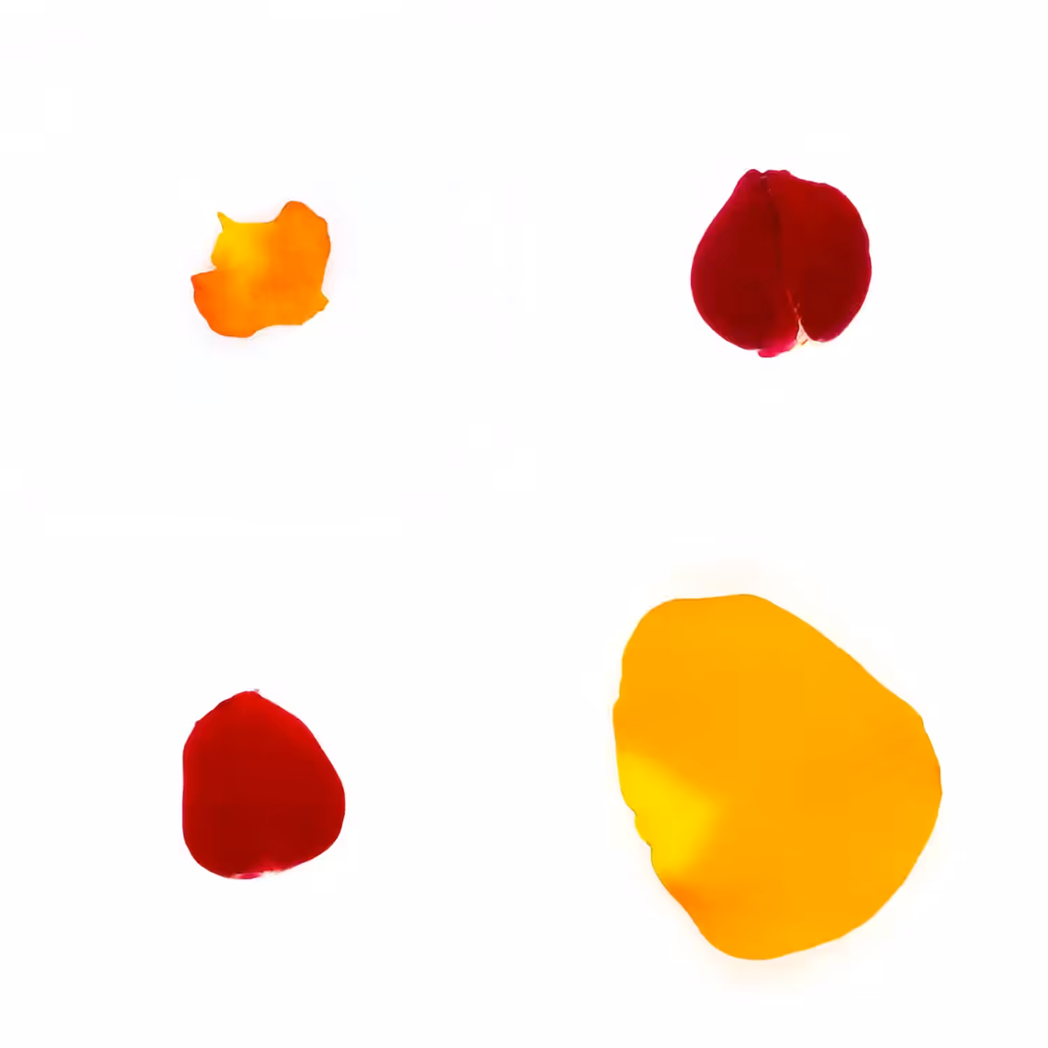 Infinite Petals 2x2#3619