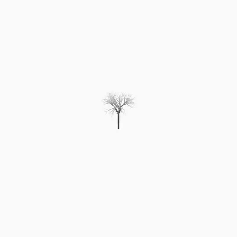 To Be a Tree #20