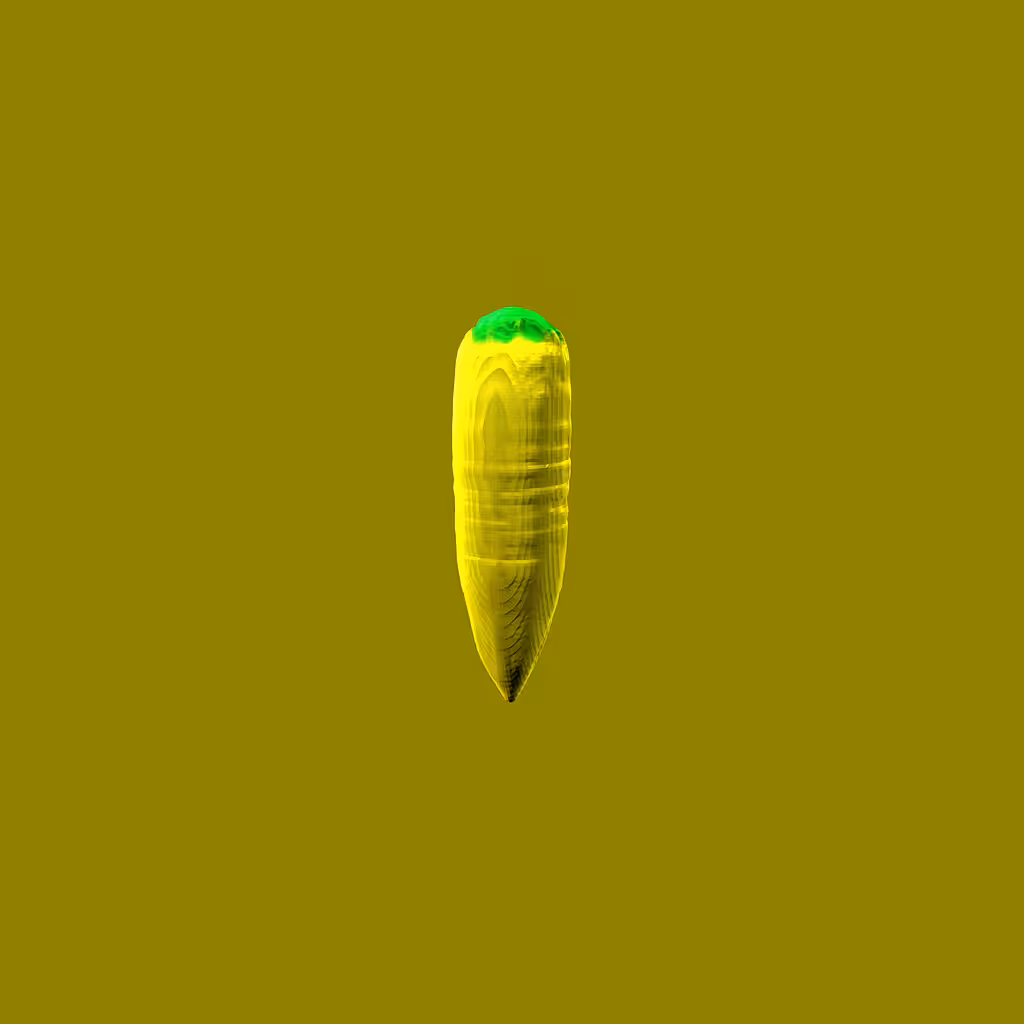 corn | GLB
