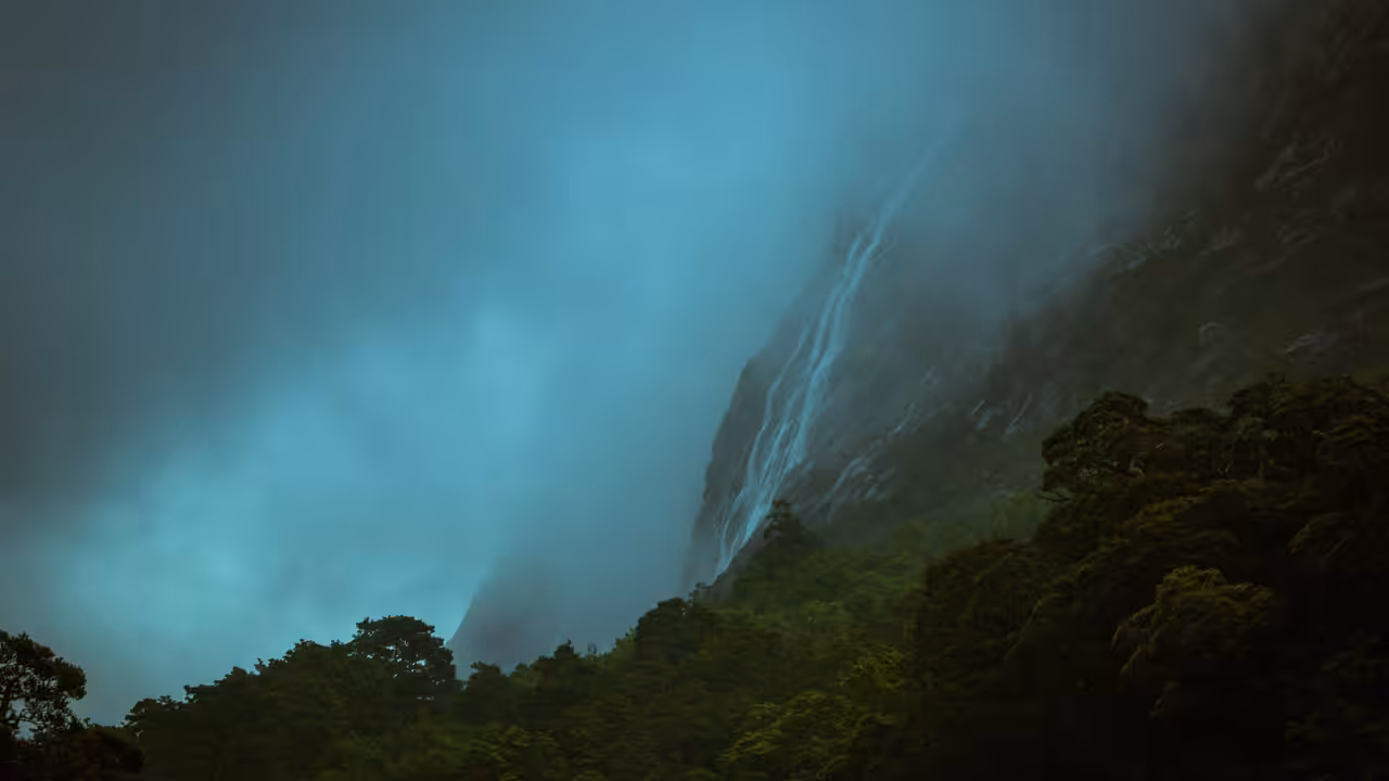 #24: Into the Mists. New Zealand.