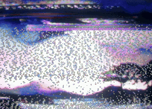 AI_NIMA/-246