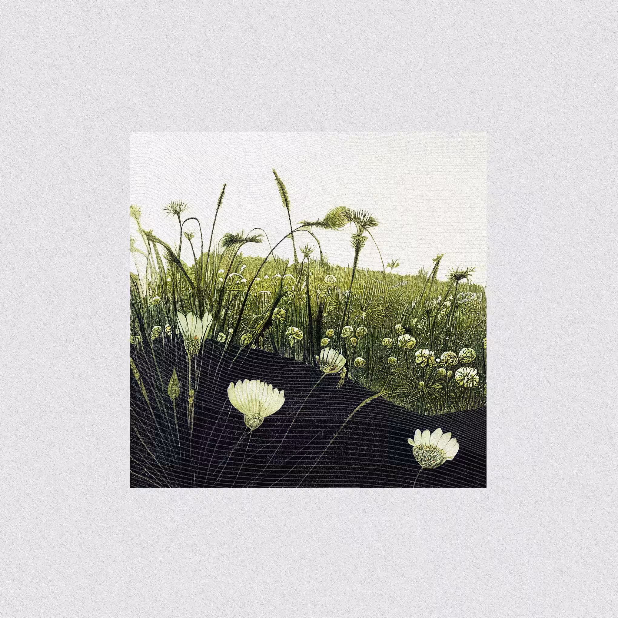 harmony · nature's fingerprint #12