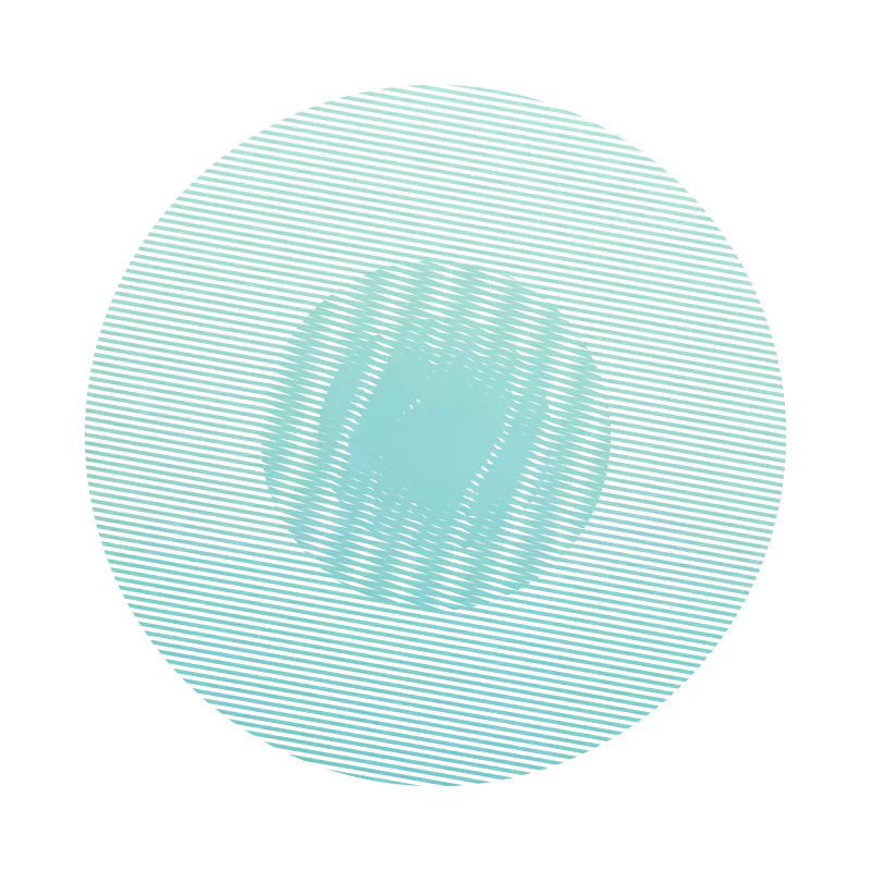 Shaped Lines #5