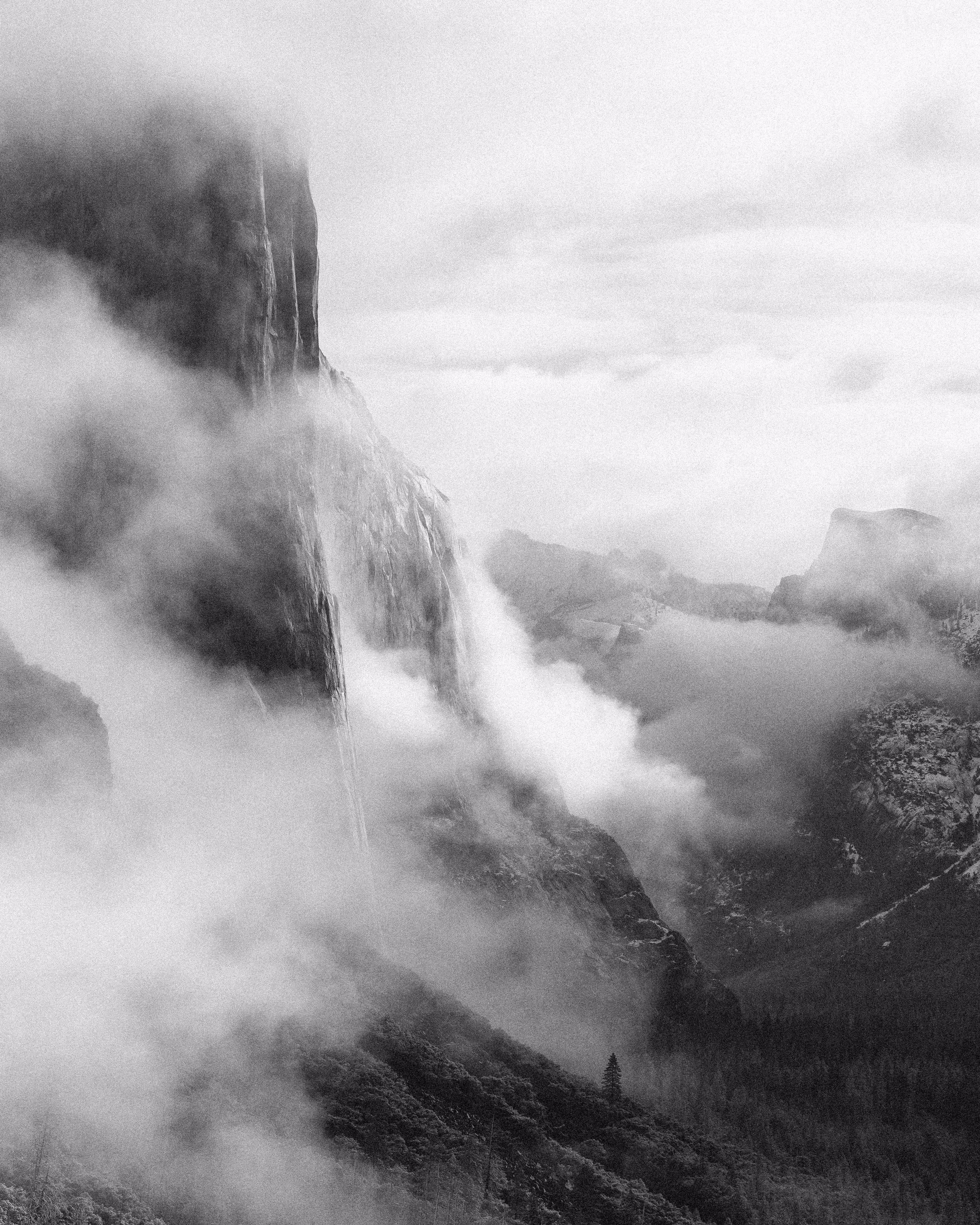 Shrouded