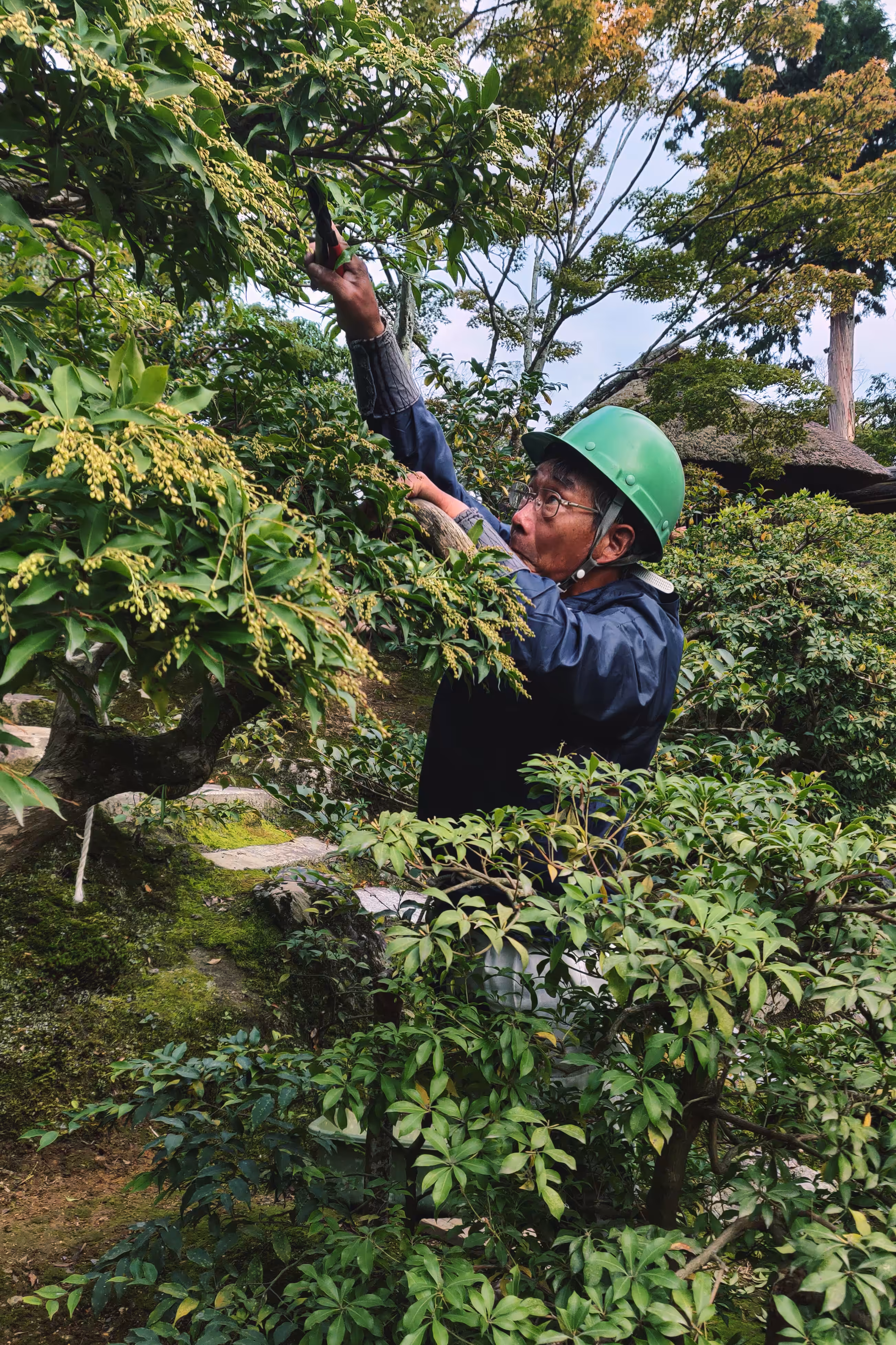 Kyoto Walk #4