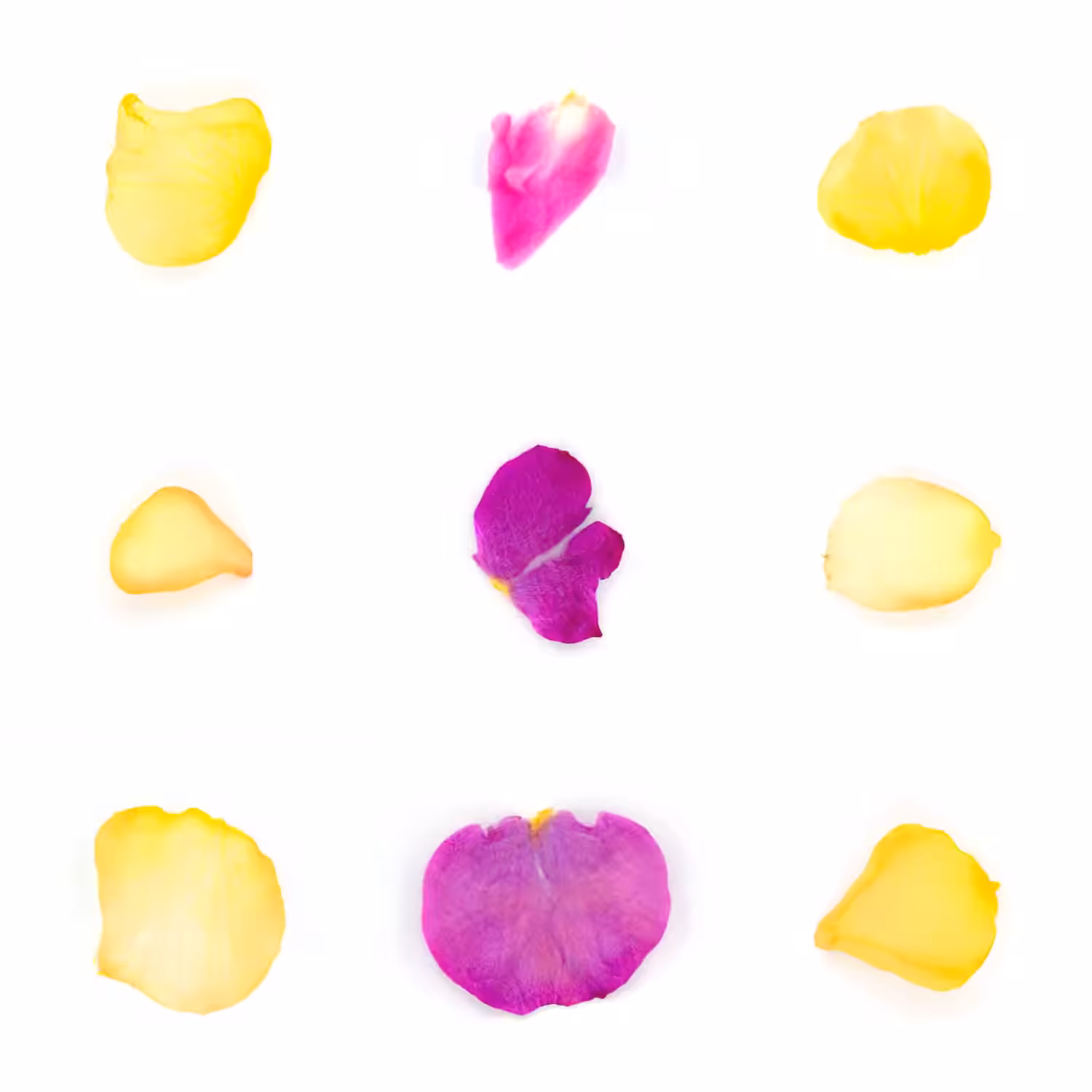 Infinite Petals 3x3#2701
