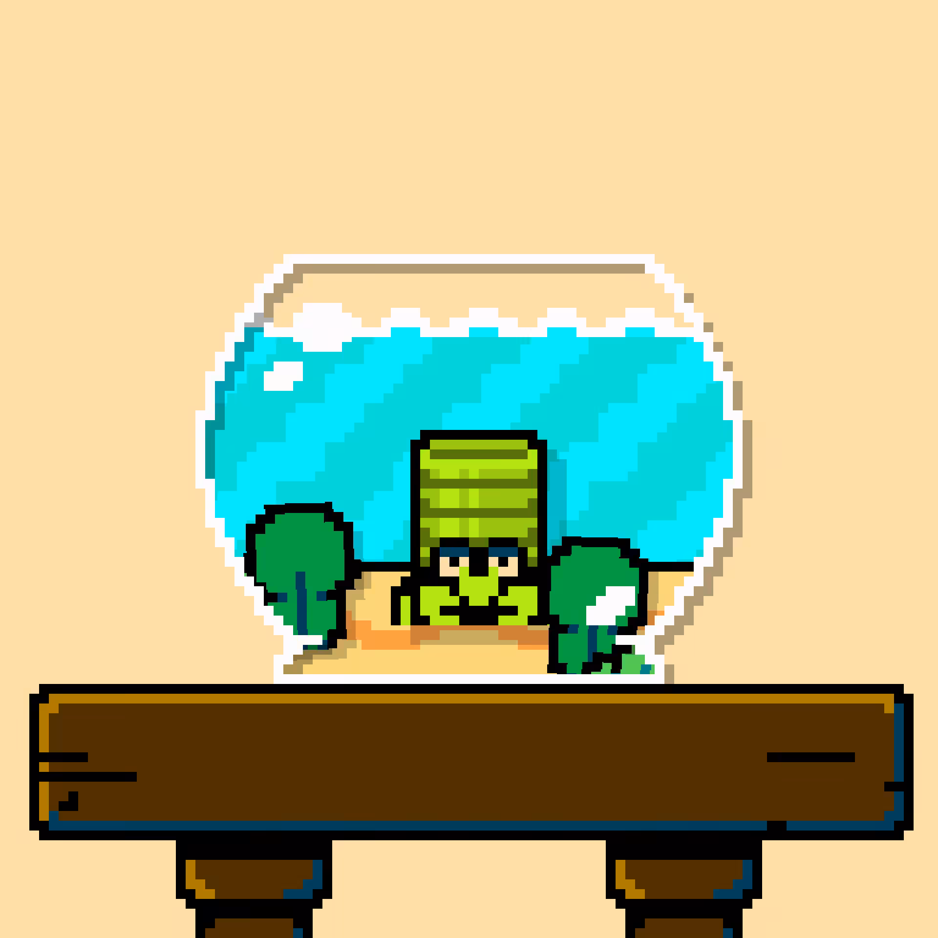 hermit crab #117