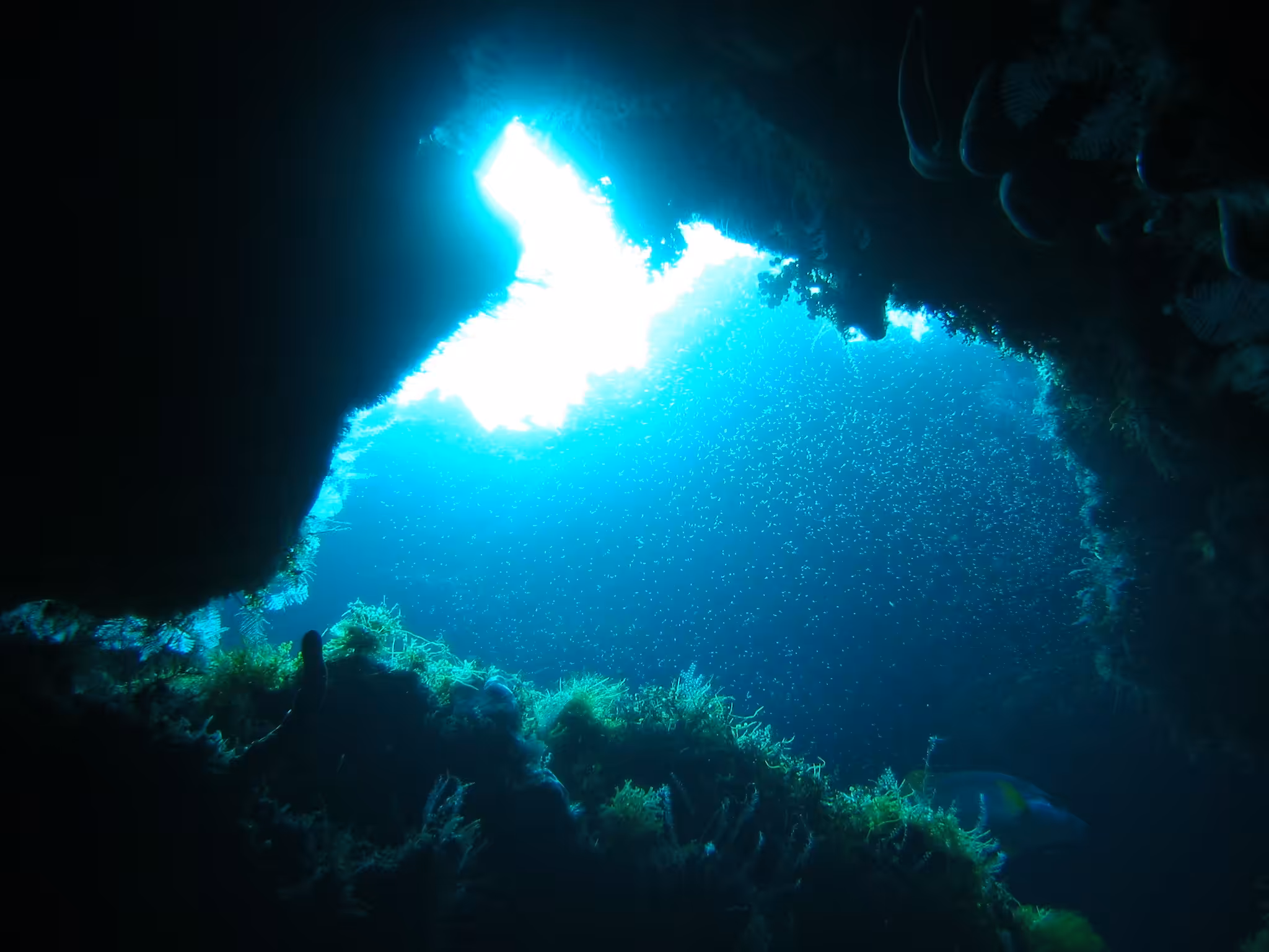 Light at the end of the tunnel