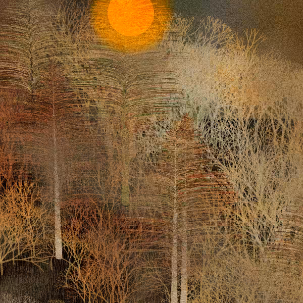 Moonlit Native Bush #94