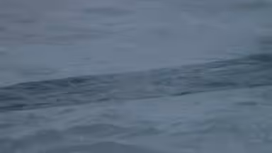 Tidal Echoes: TE 02