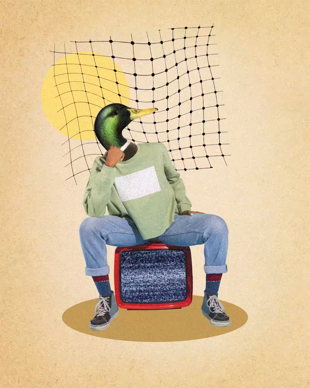 No Signal
