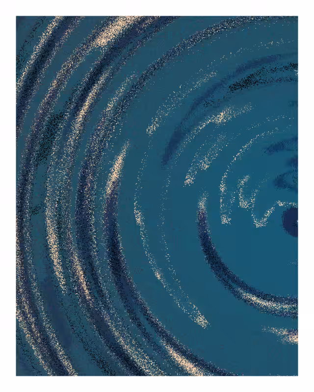 Pohā #17
