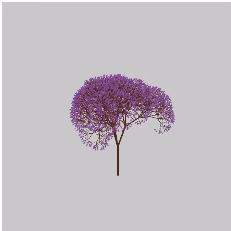 CandyTree #24