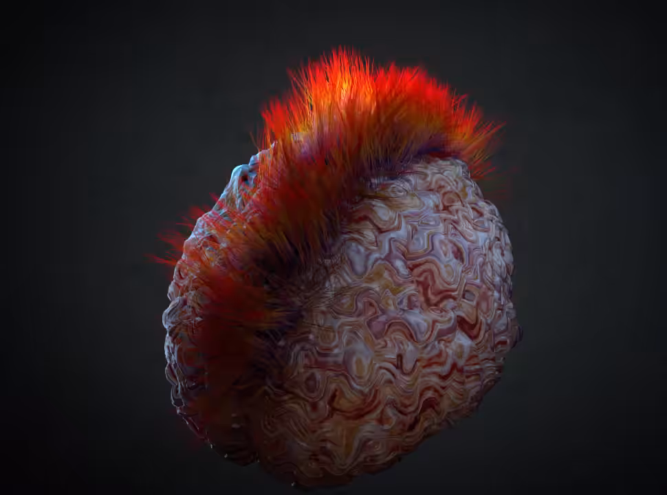Psychodelic brain