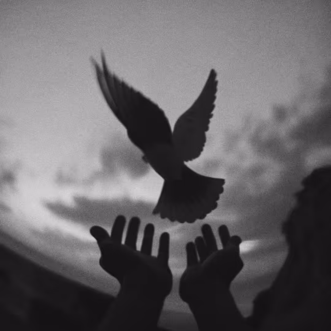Release