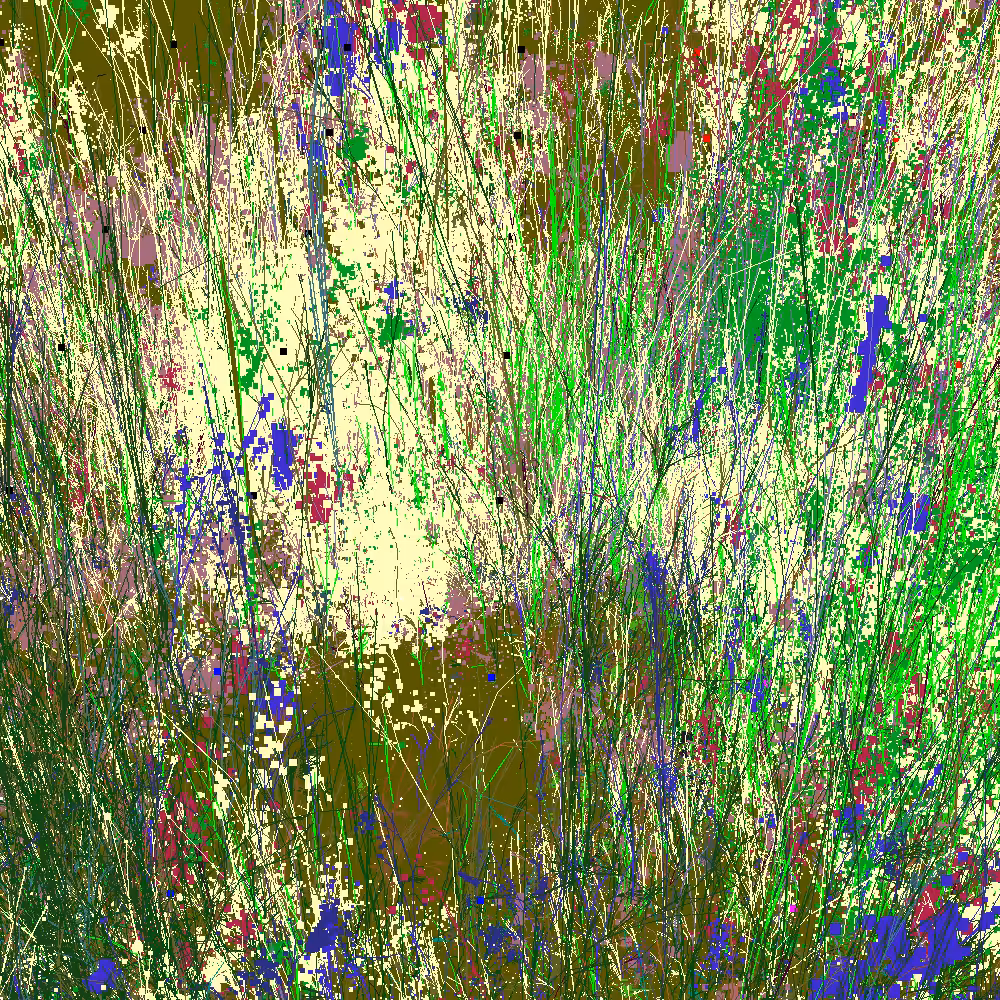 Infinite Garden: 115000 Flowers