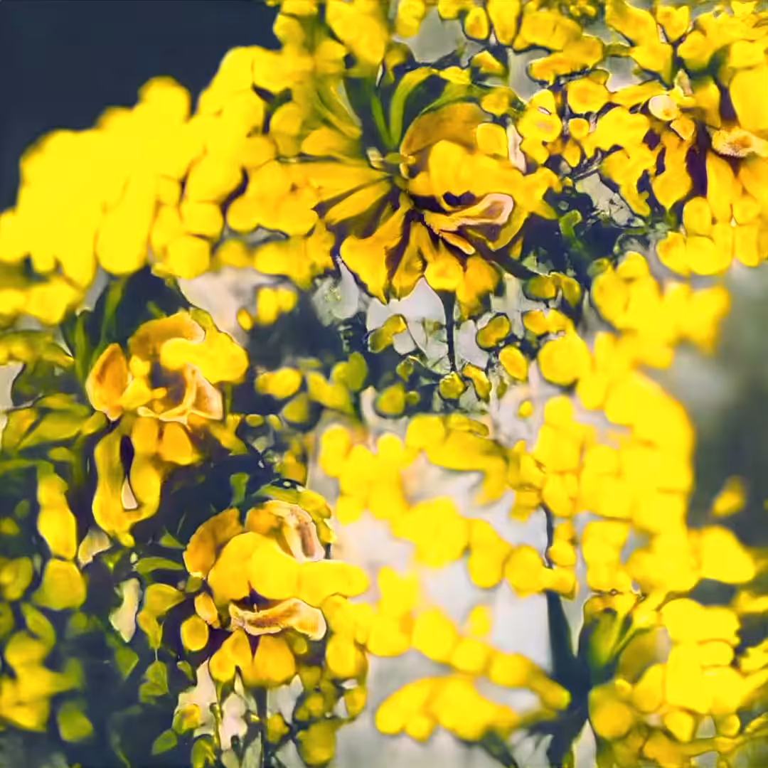Flowers in Liminal States