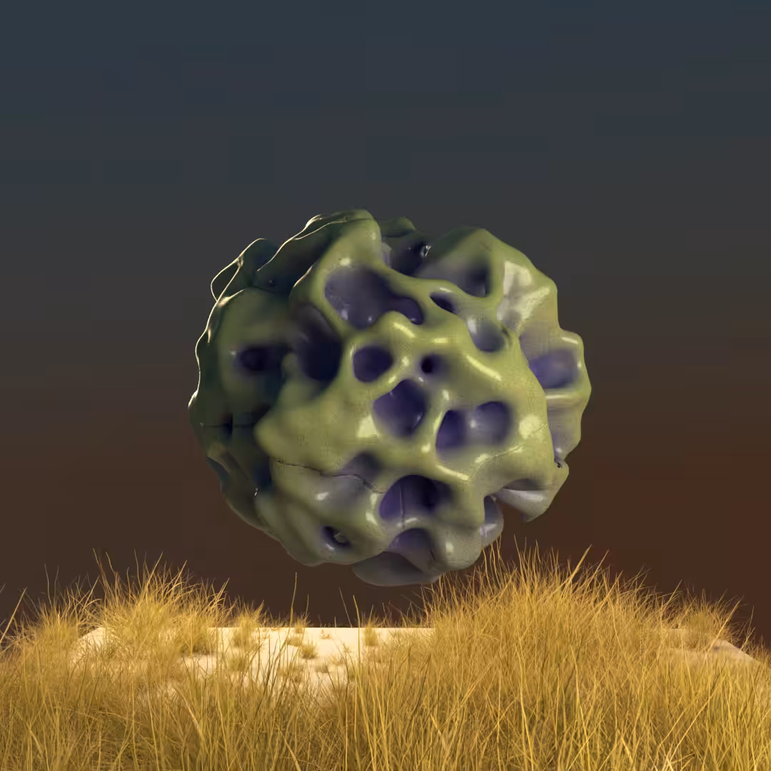 a rock from the garden