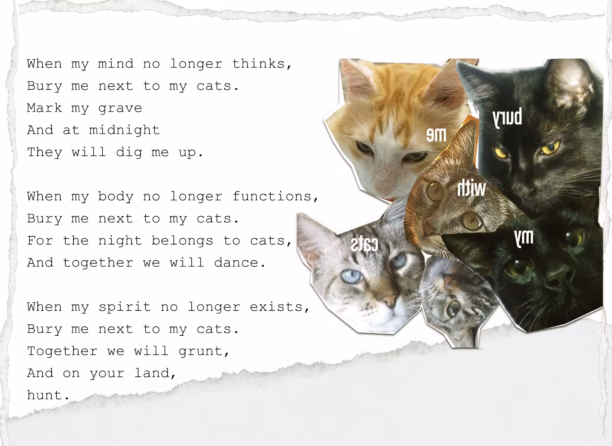 Bury me with my cats