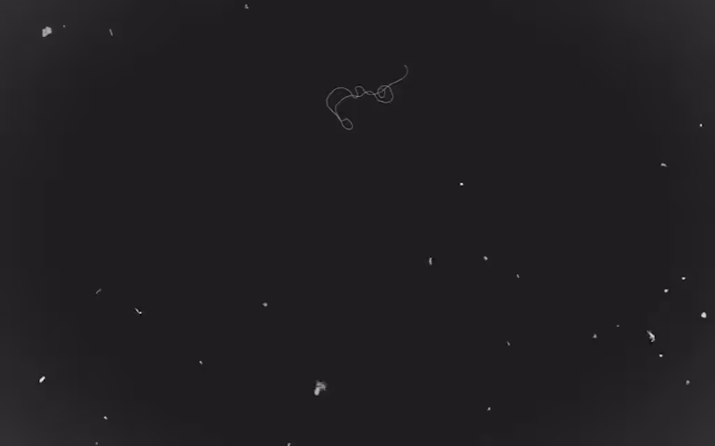 Echoes #22