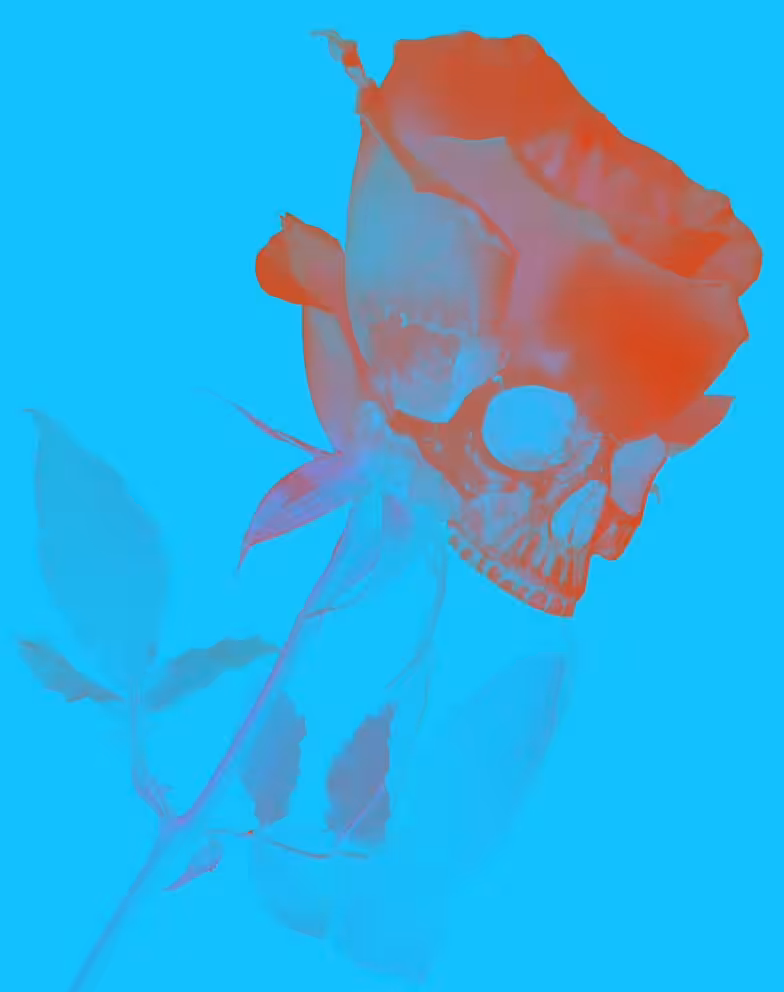 Mon Amie La Rose - Bleu Maya