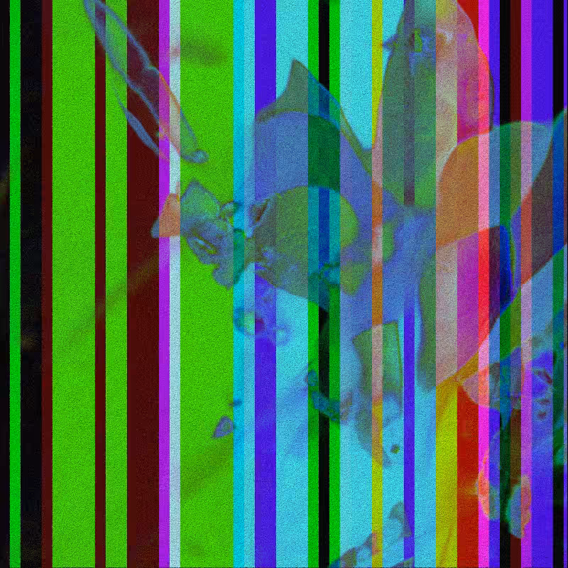 CLDCSMC #19