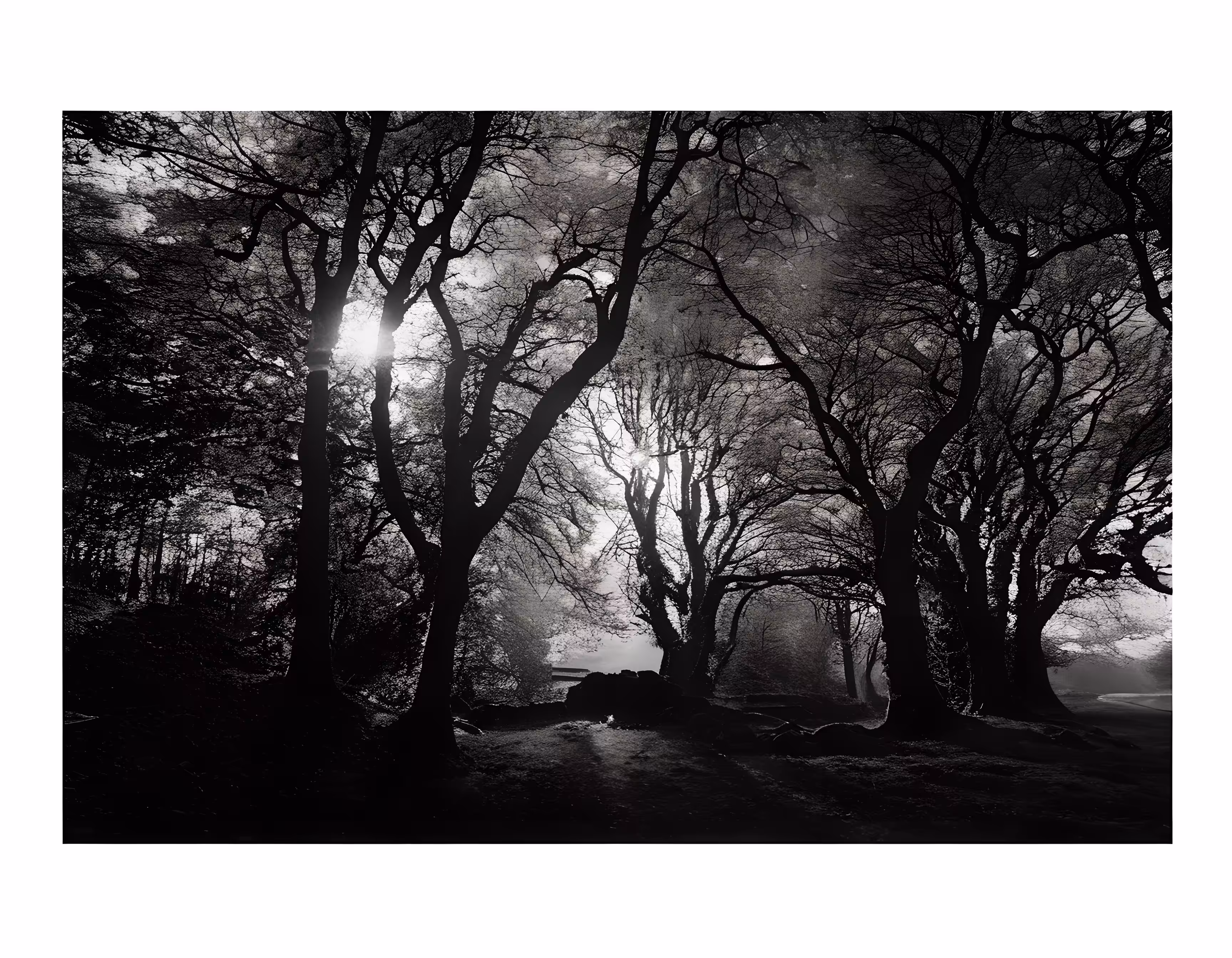 SYNTHETIC PHOTOGRAPHY RAW #18