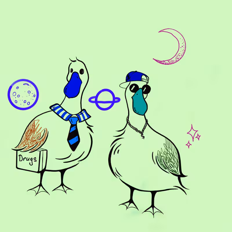 Important geese #7