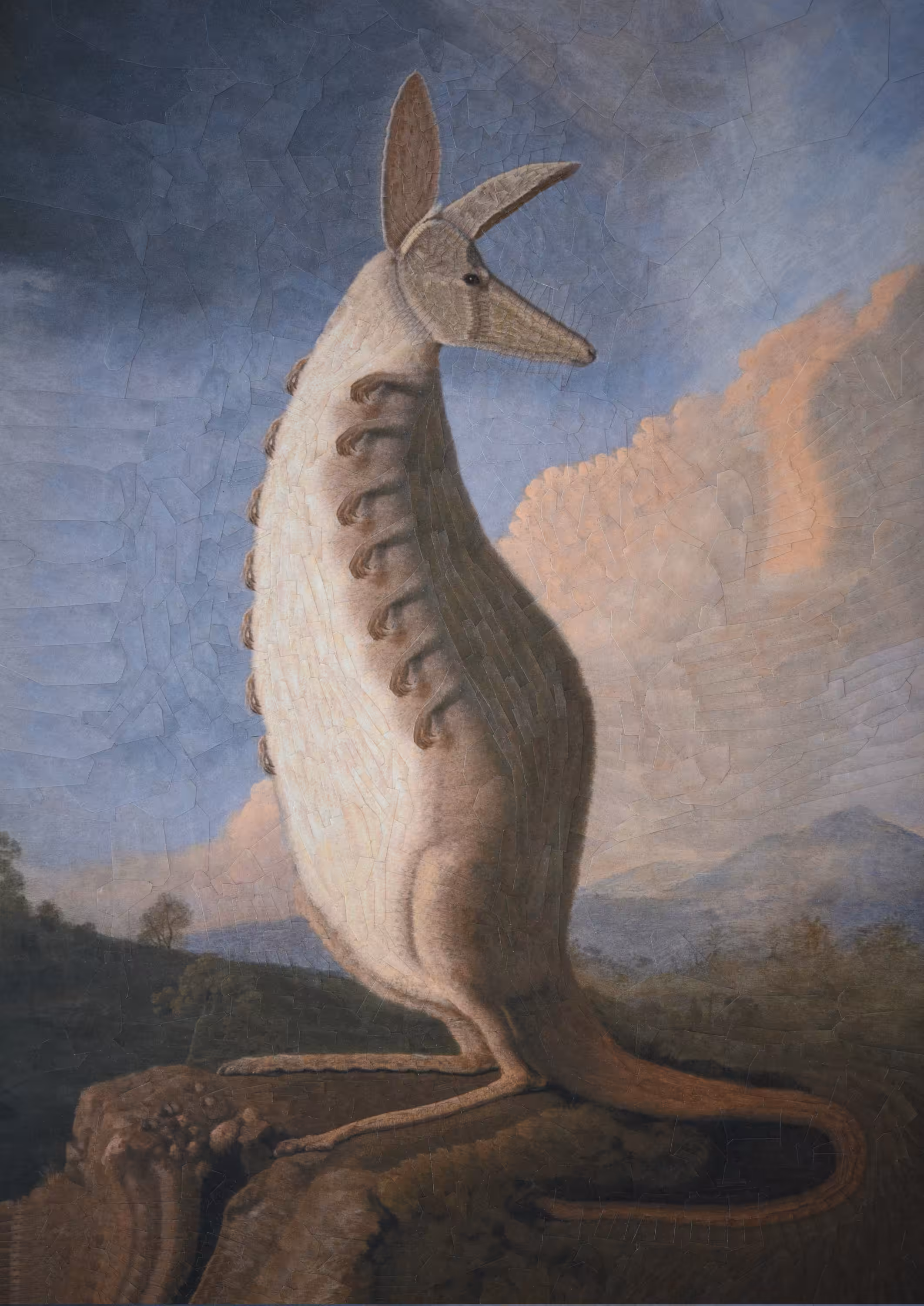 LD: Roo after Stubbs
