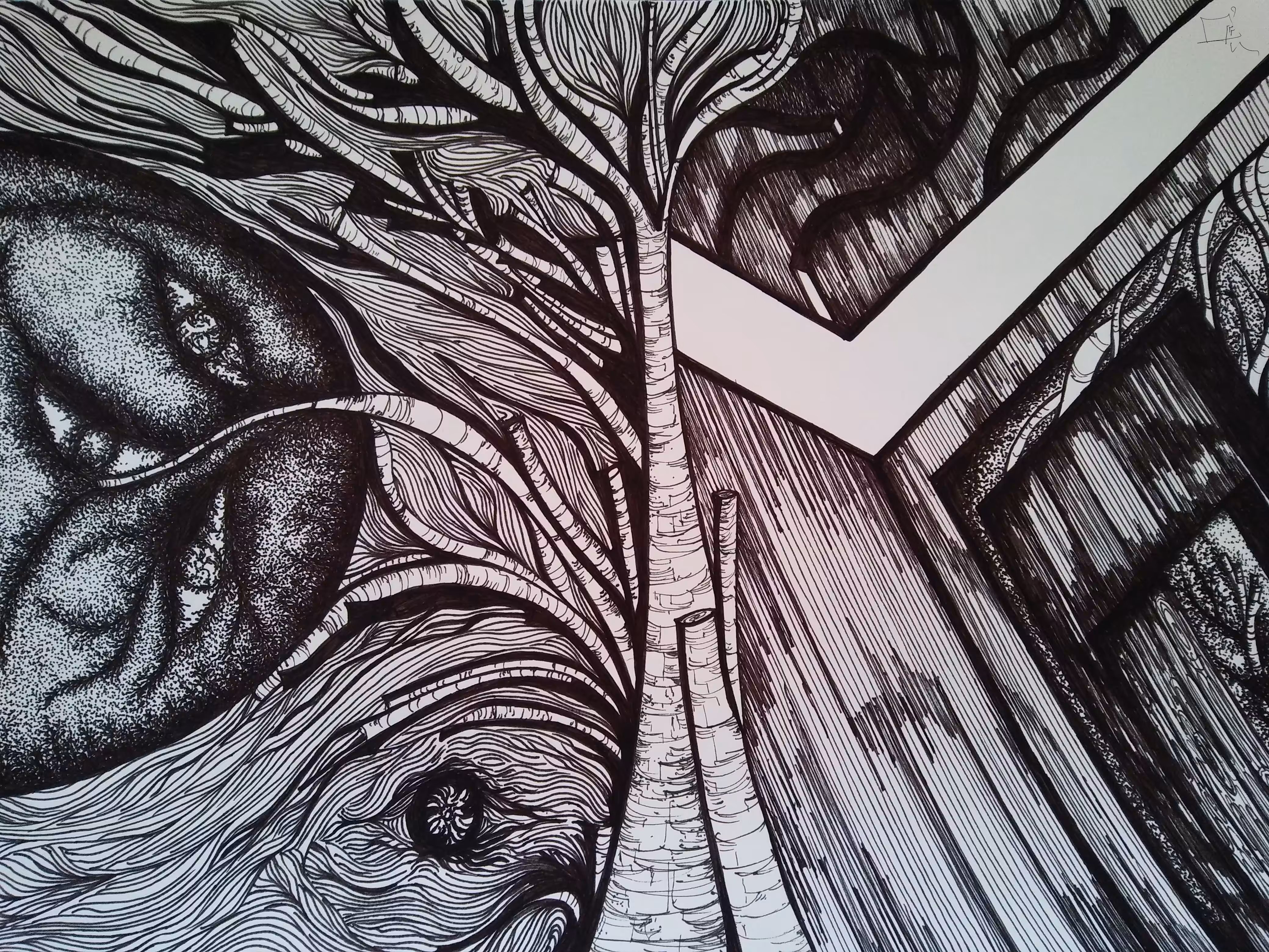 Rooted in Surveillance