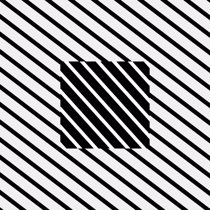Chromatic dazzle #488