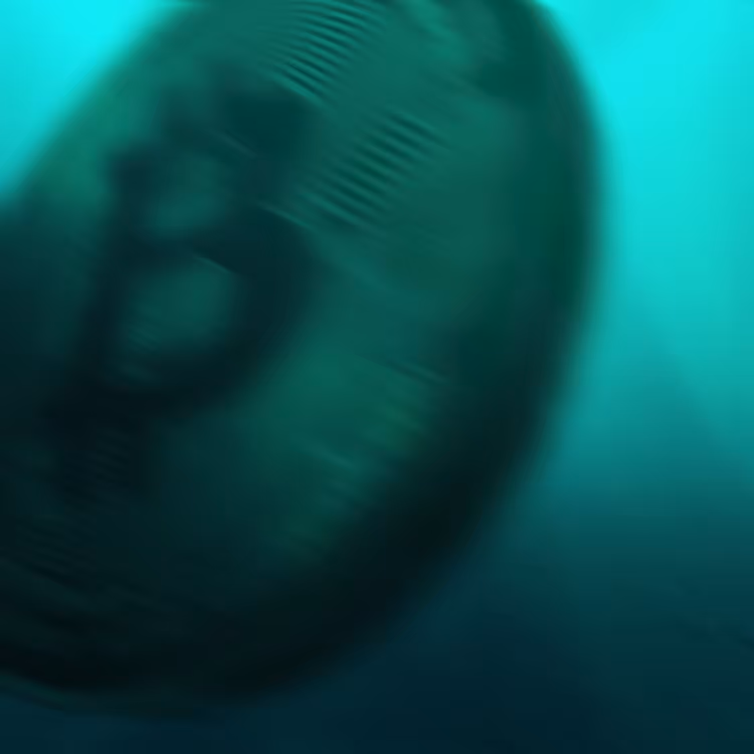 Underwater world