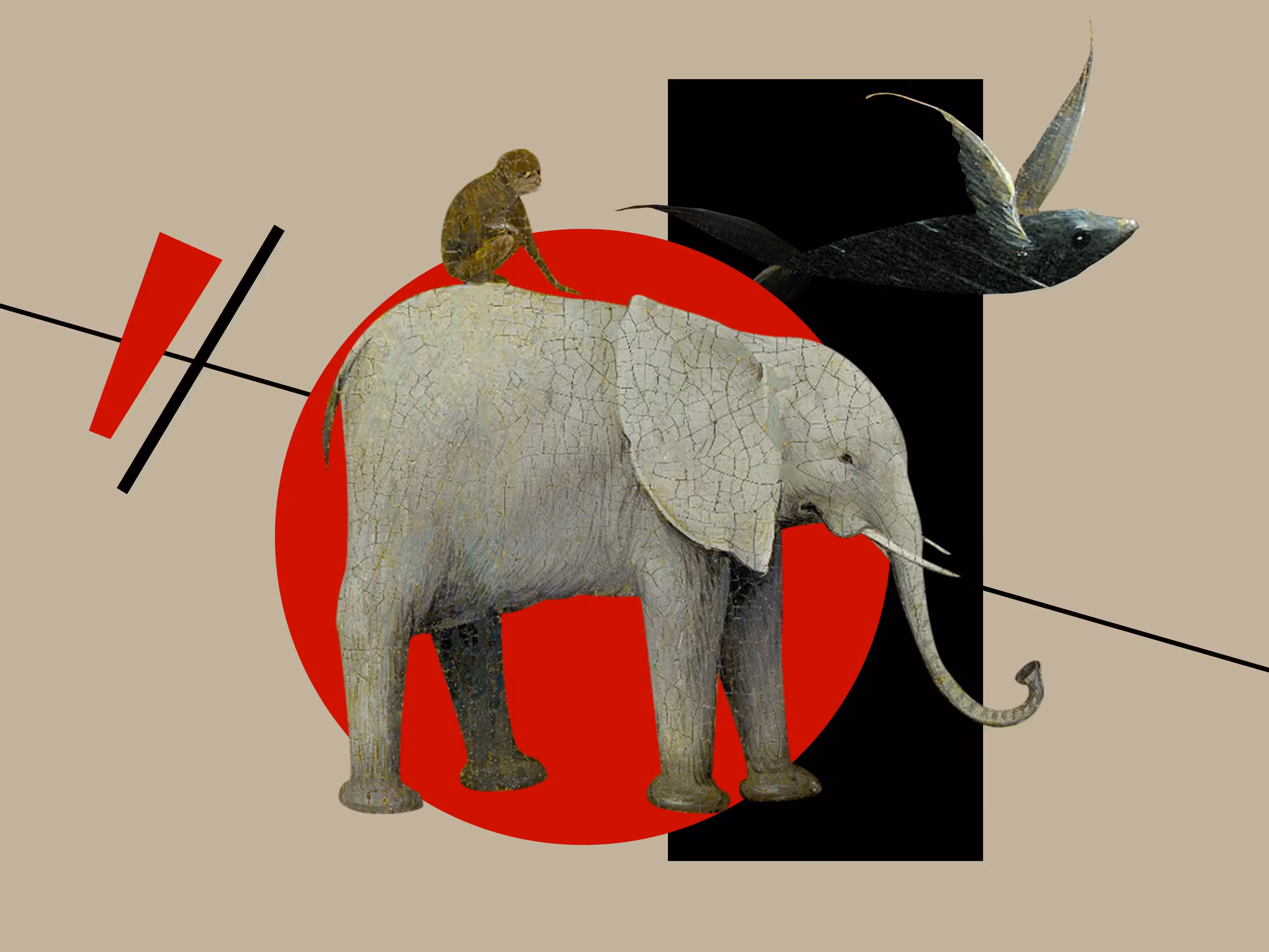 White elephant