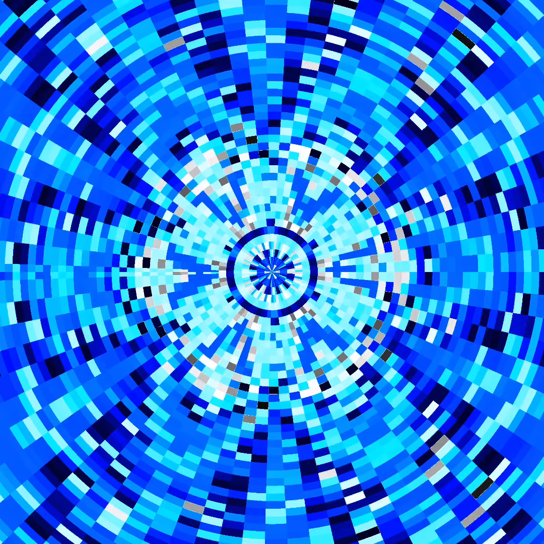 Polarization