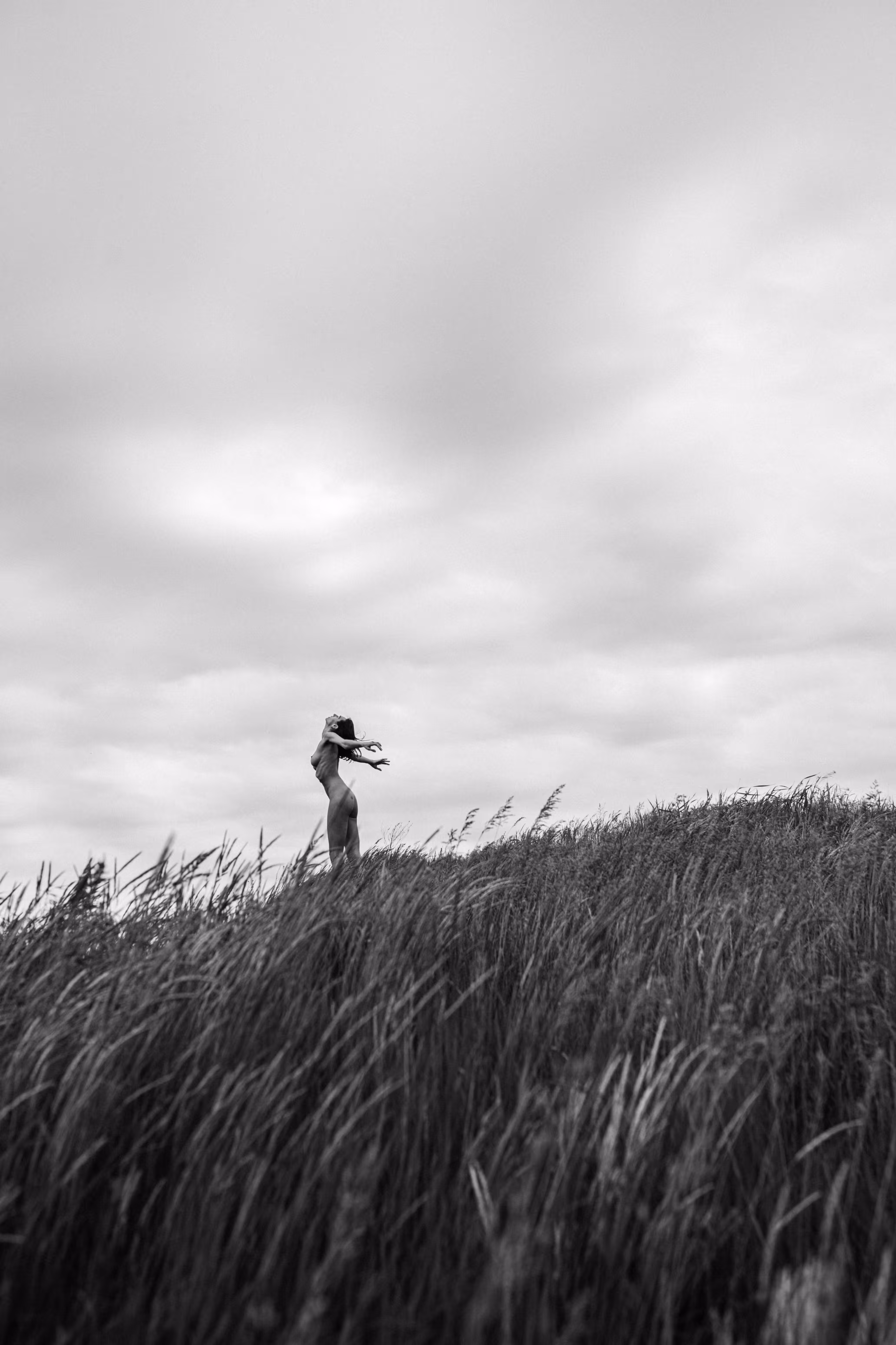 Blowing in the Wind